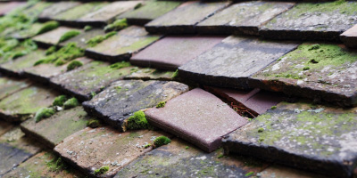 Wood End roof repair costs